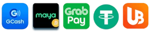 ph958 website image 18 showing payment